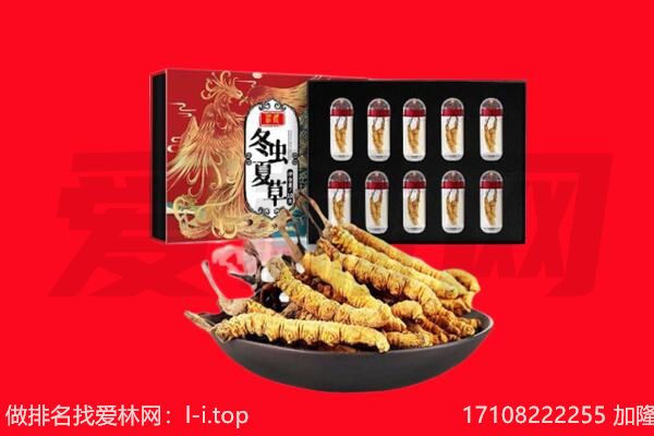 定日县回收虫草.jpg