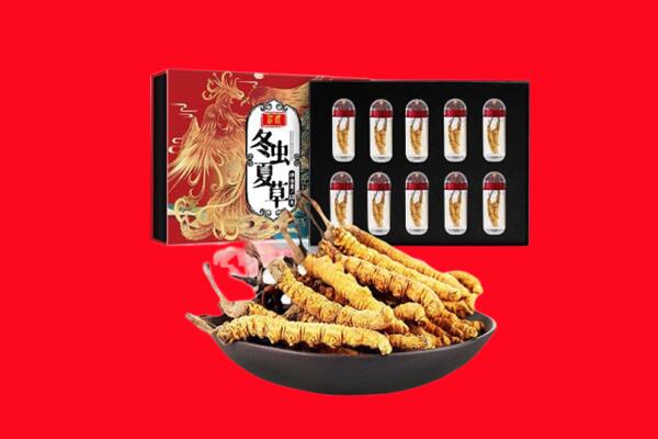 定日县回收虫草.jpg